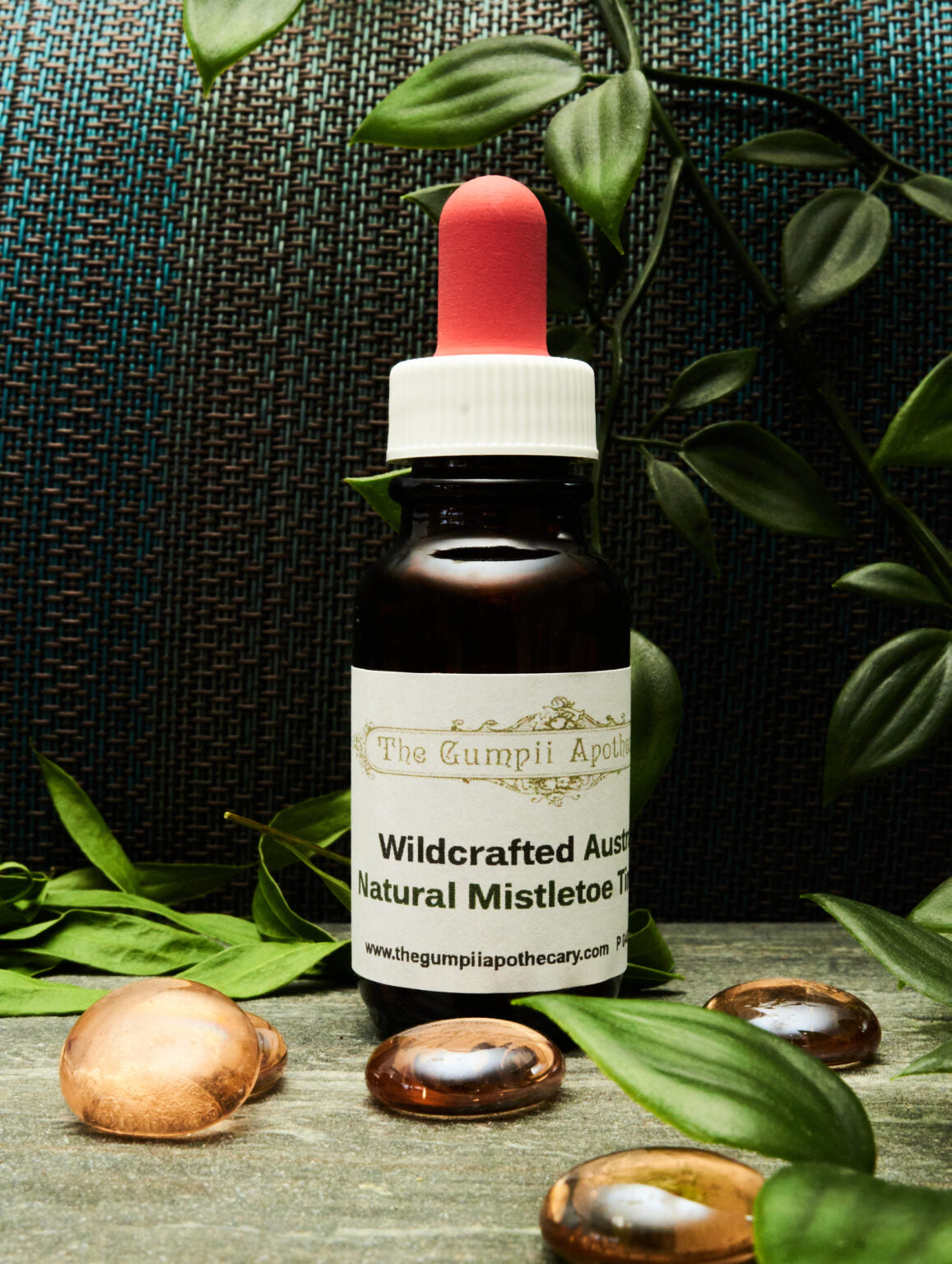 Wildcrafted Australian Mistletoe Botanical Extract