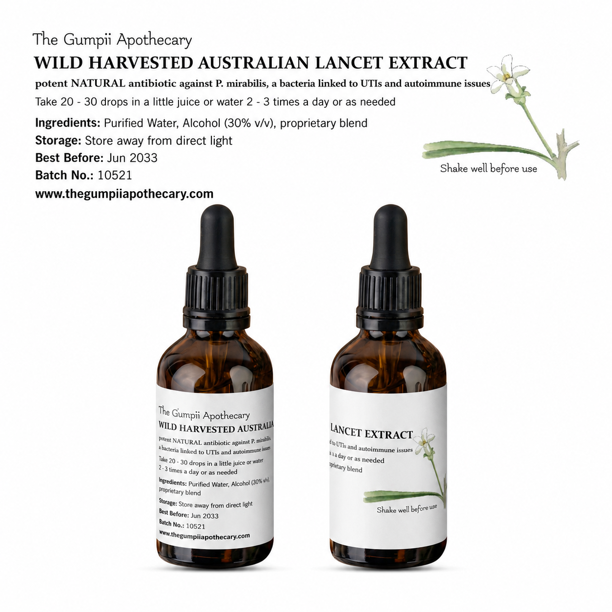 Wild Harvested Australian Lancet Extract
