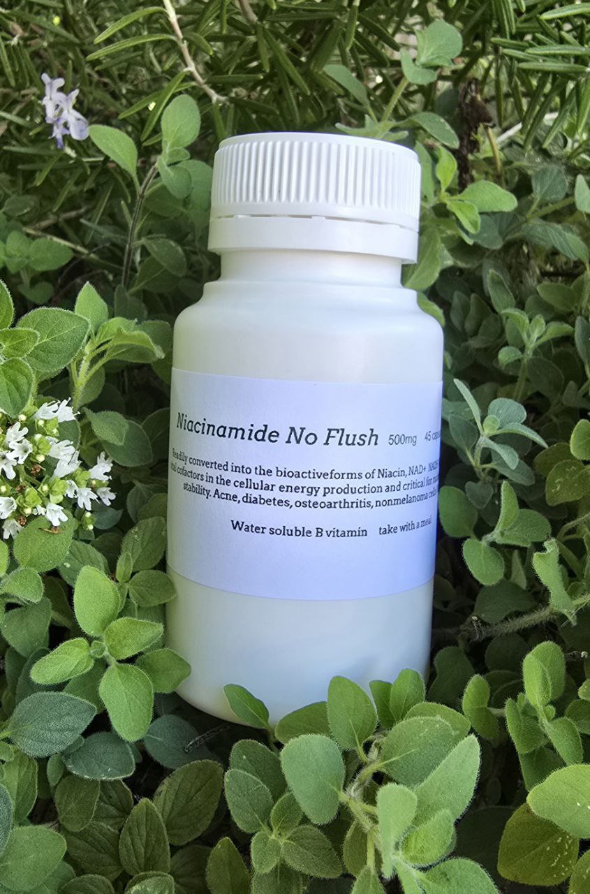 Vitamin B3 (Niacinamide) No Flush