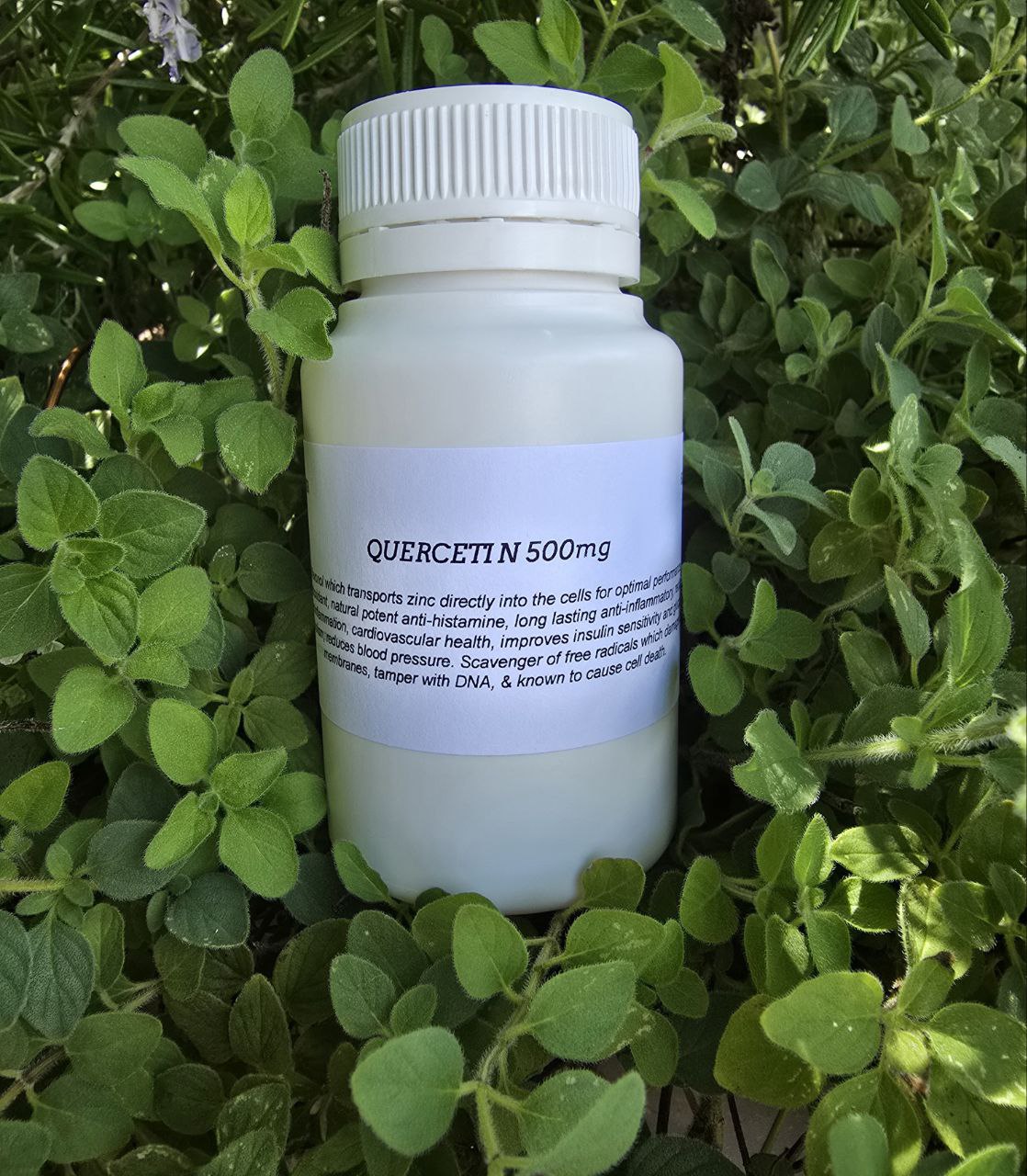 Quercetin