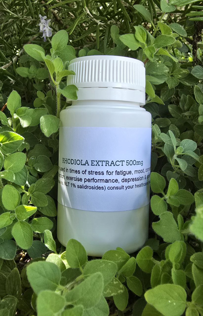 Rhodiola