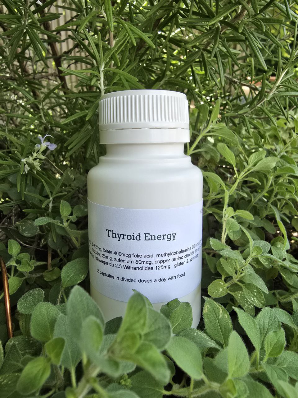 Thyroid Energy