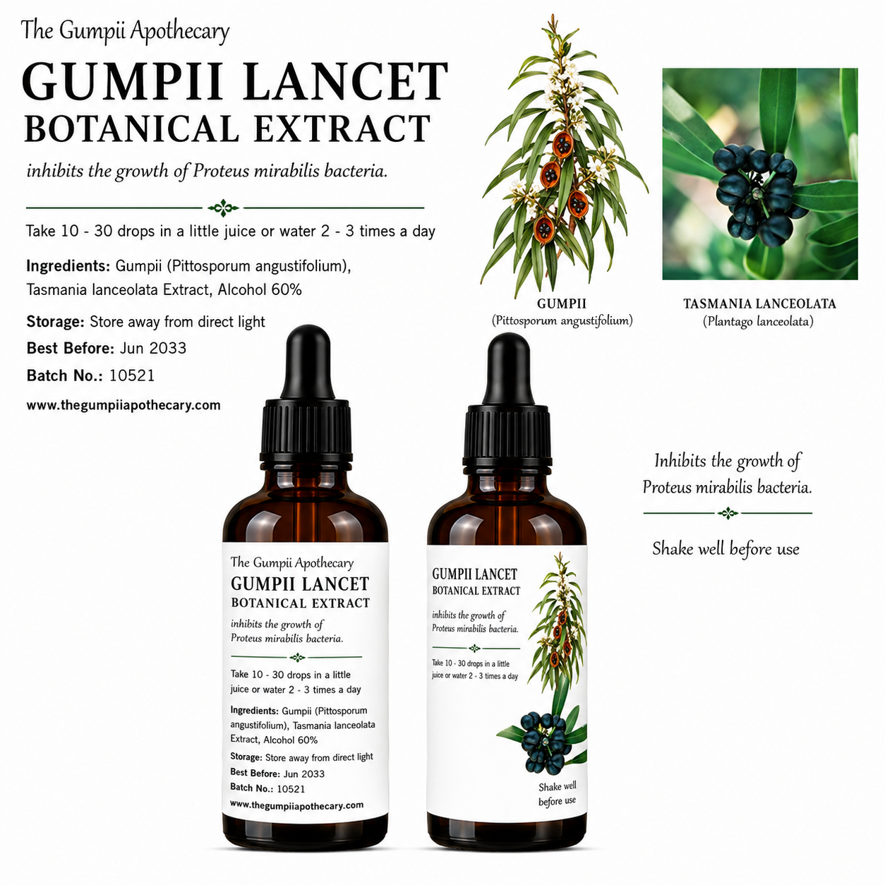 Gumpii Lancet Botanical Extract