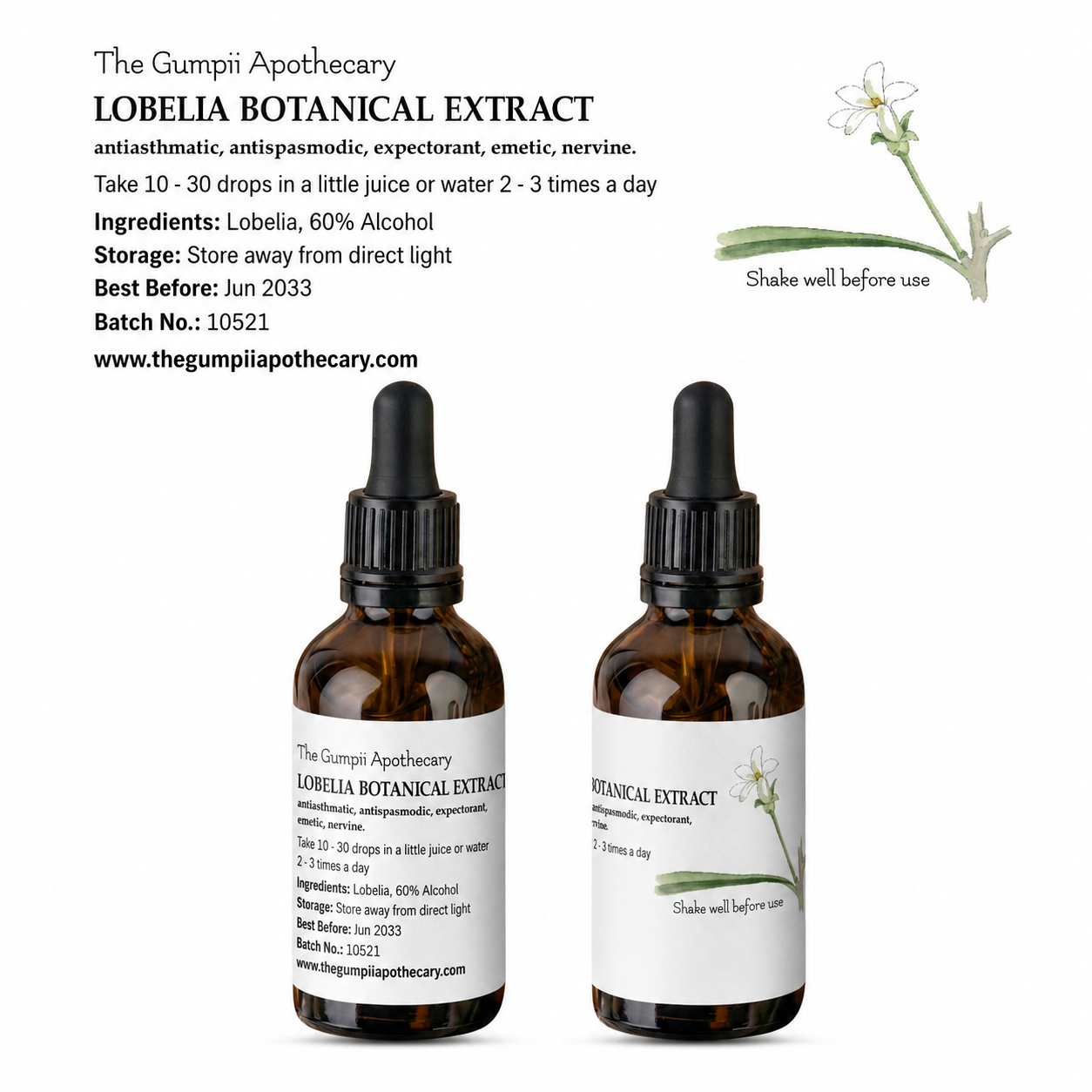 Lobelia Extract (Lobelia inflata)