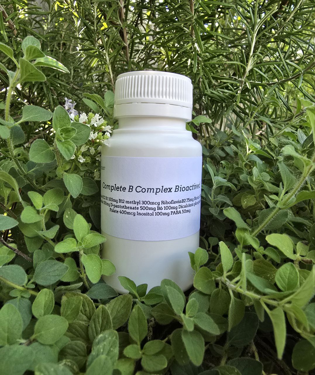 Complete B Enzymatic Complex