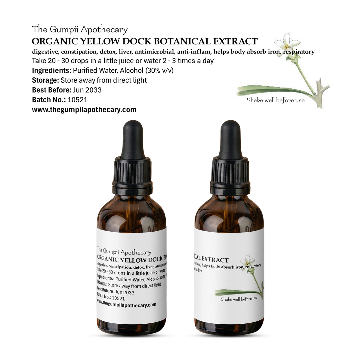 Organic Yellow Dock Extract | Rumex crispus | Liver & Digestive ...