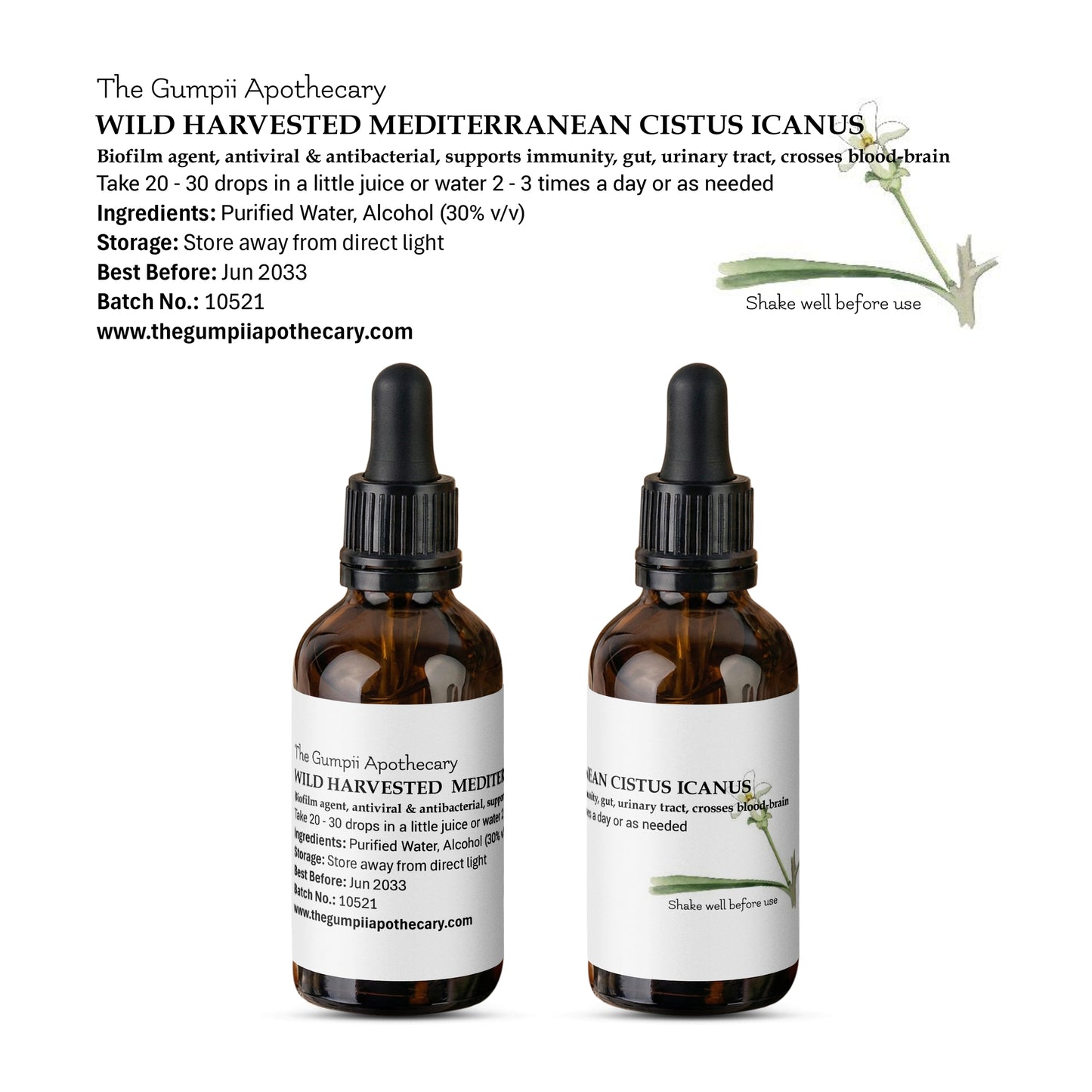 Mediterranean Cistus Icanus Extract