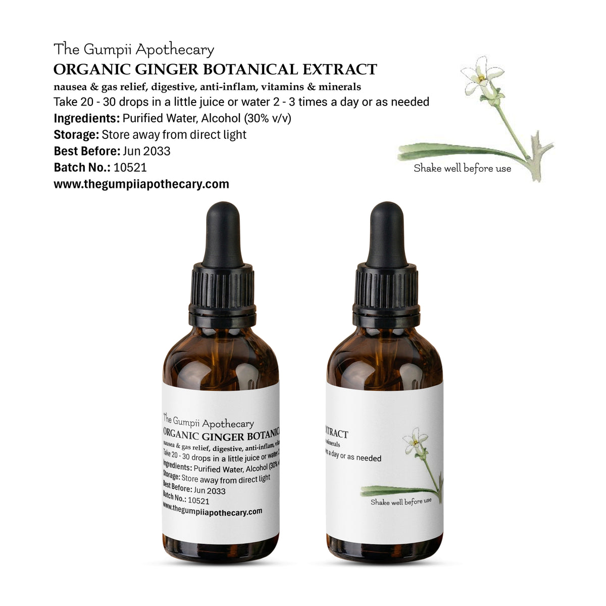 Organic Ginger Extract | Zingiber officinale | Digestive & Circulatory ...