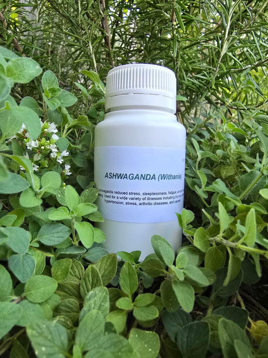 Ashwaganda (Withania Somnifera)
