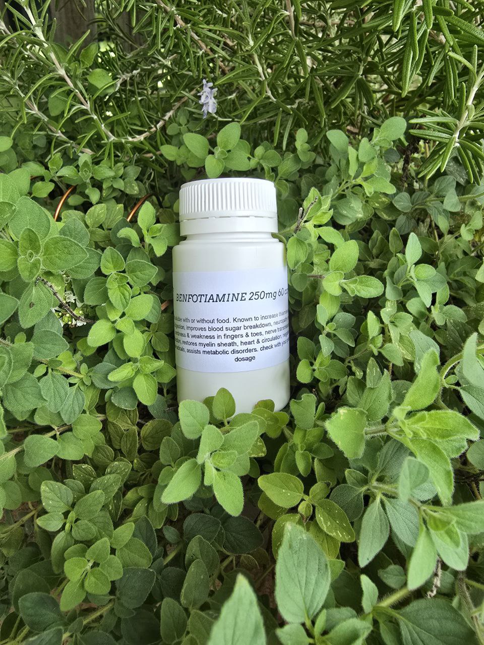 Vitamin B1 (Benfotiamine)