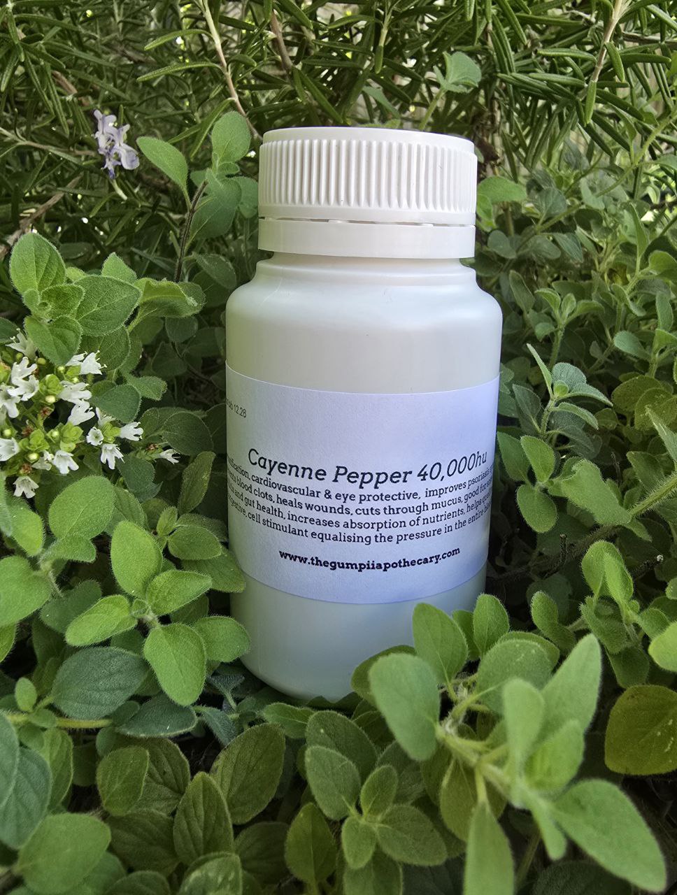 Cayenne Pepper (capsaicin)