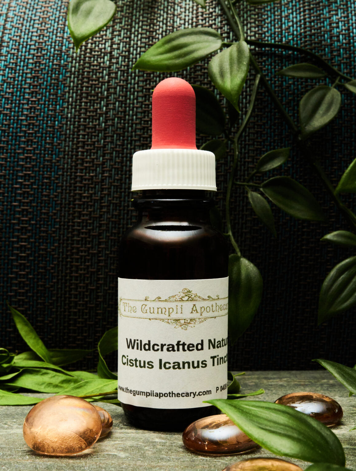 Mediterranean Cistus Icanus Extract