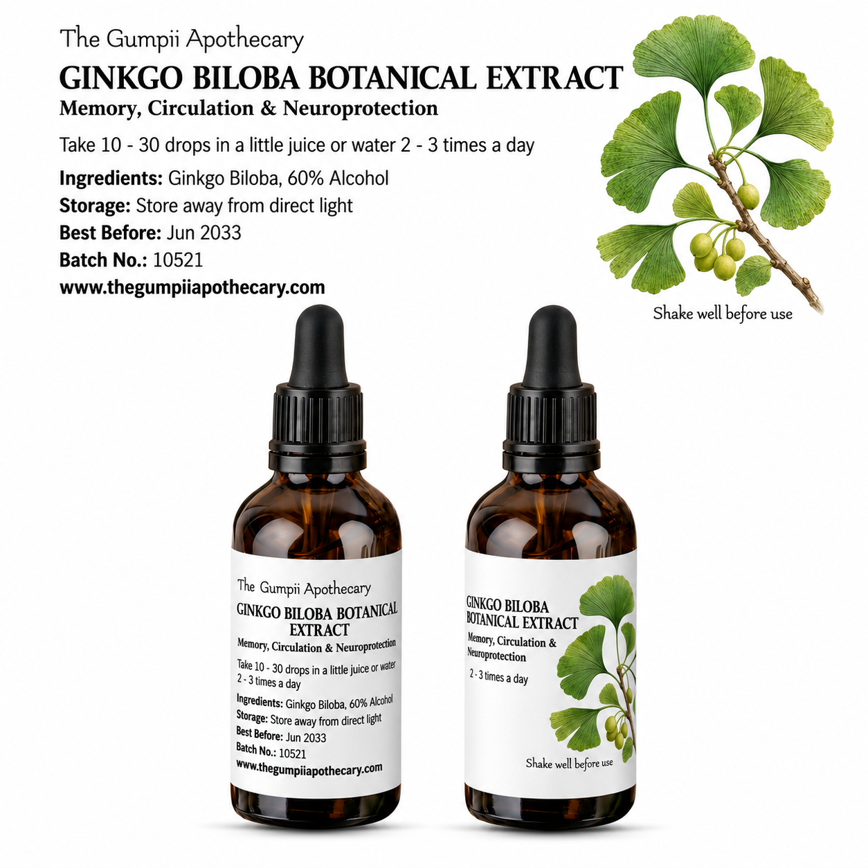Ginkgo Biloba Extract (Ginkgo biloba)  Memory, Circulation & Neuroprotection