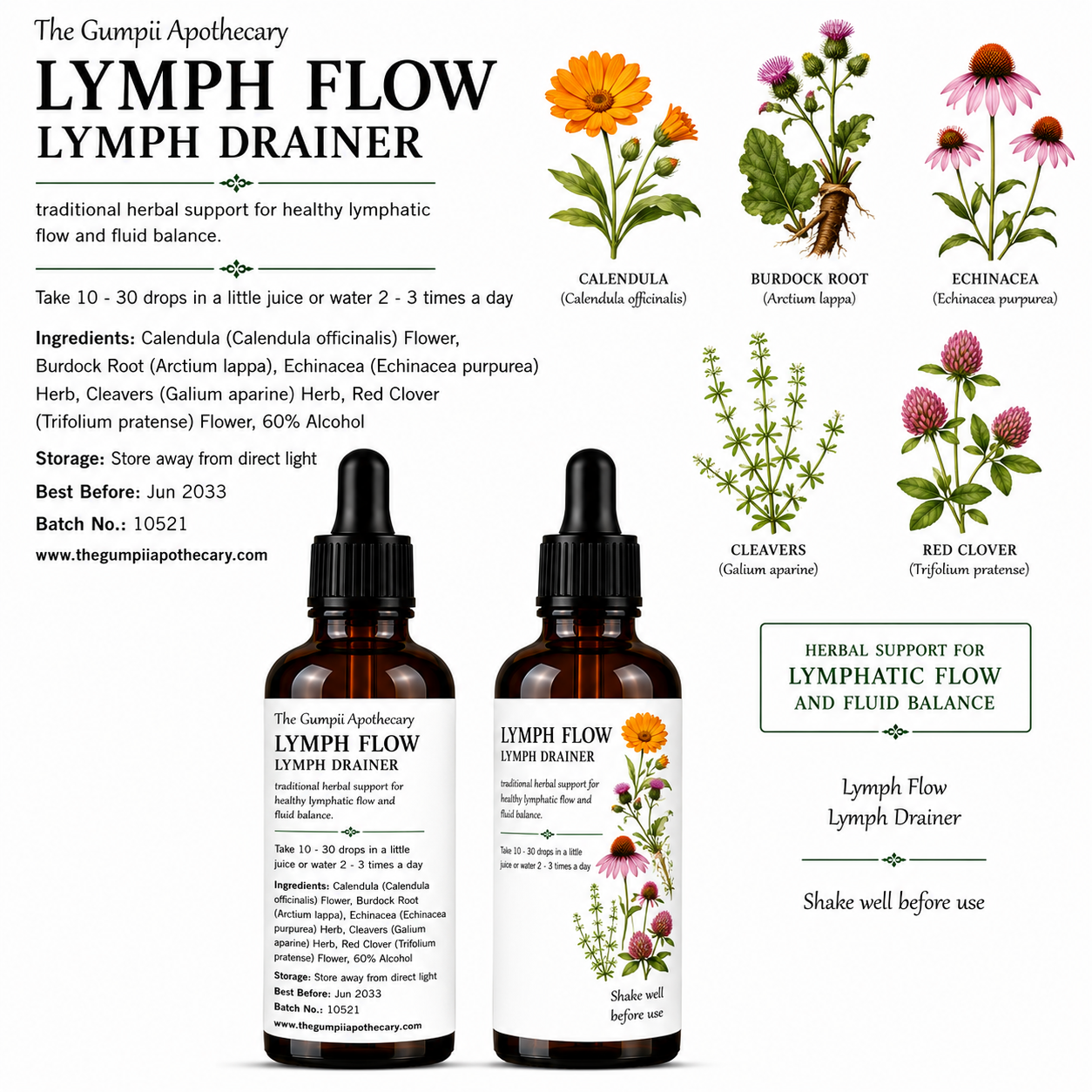 Lymph Flow