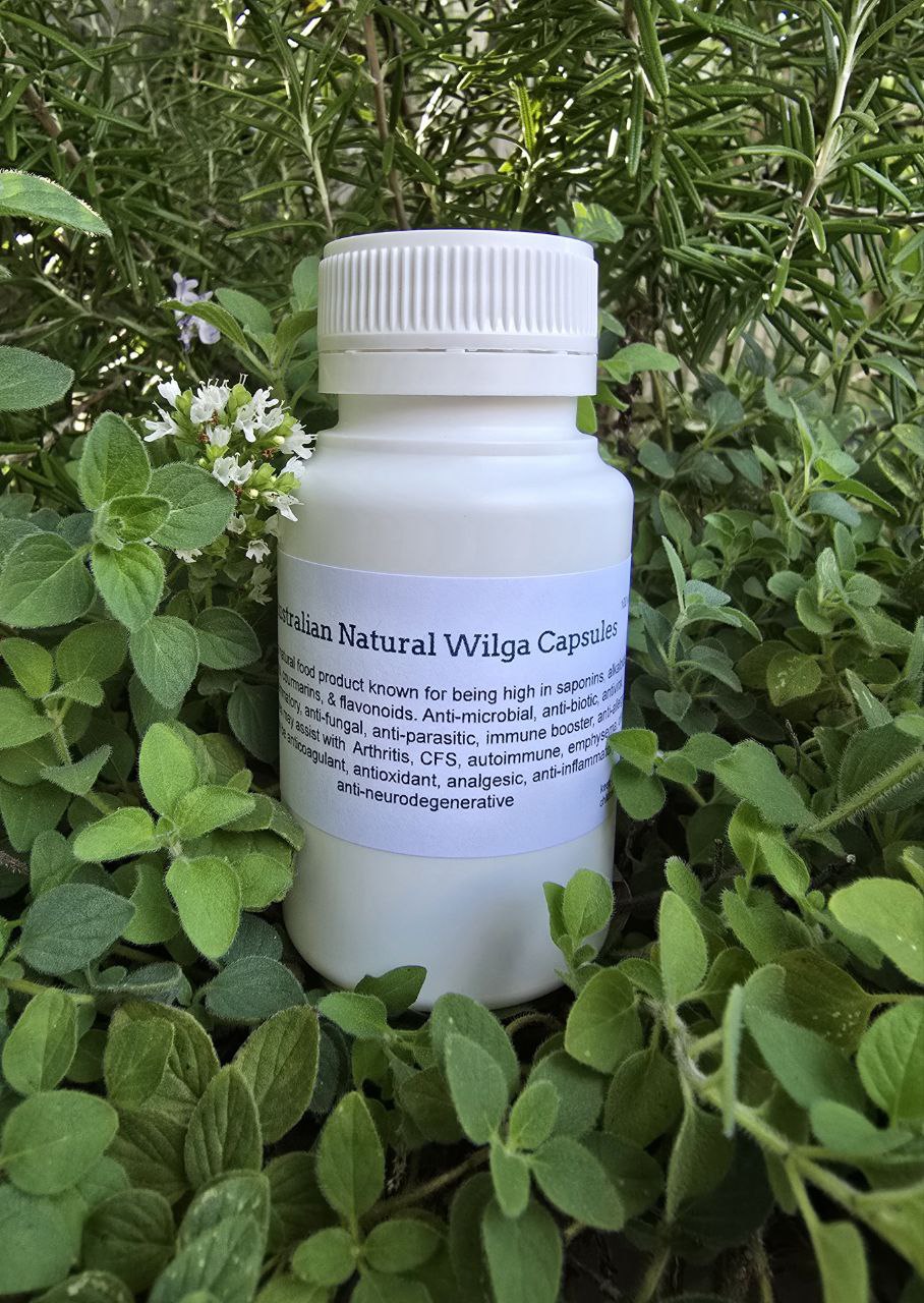 Australian Natural Narrowleaf Wilga (Geijera parviflora - coumarin)