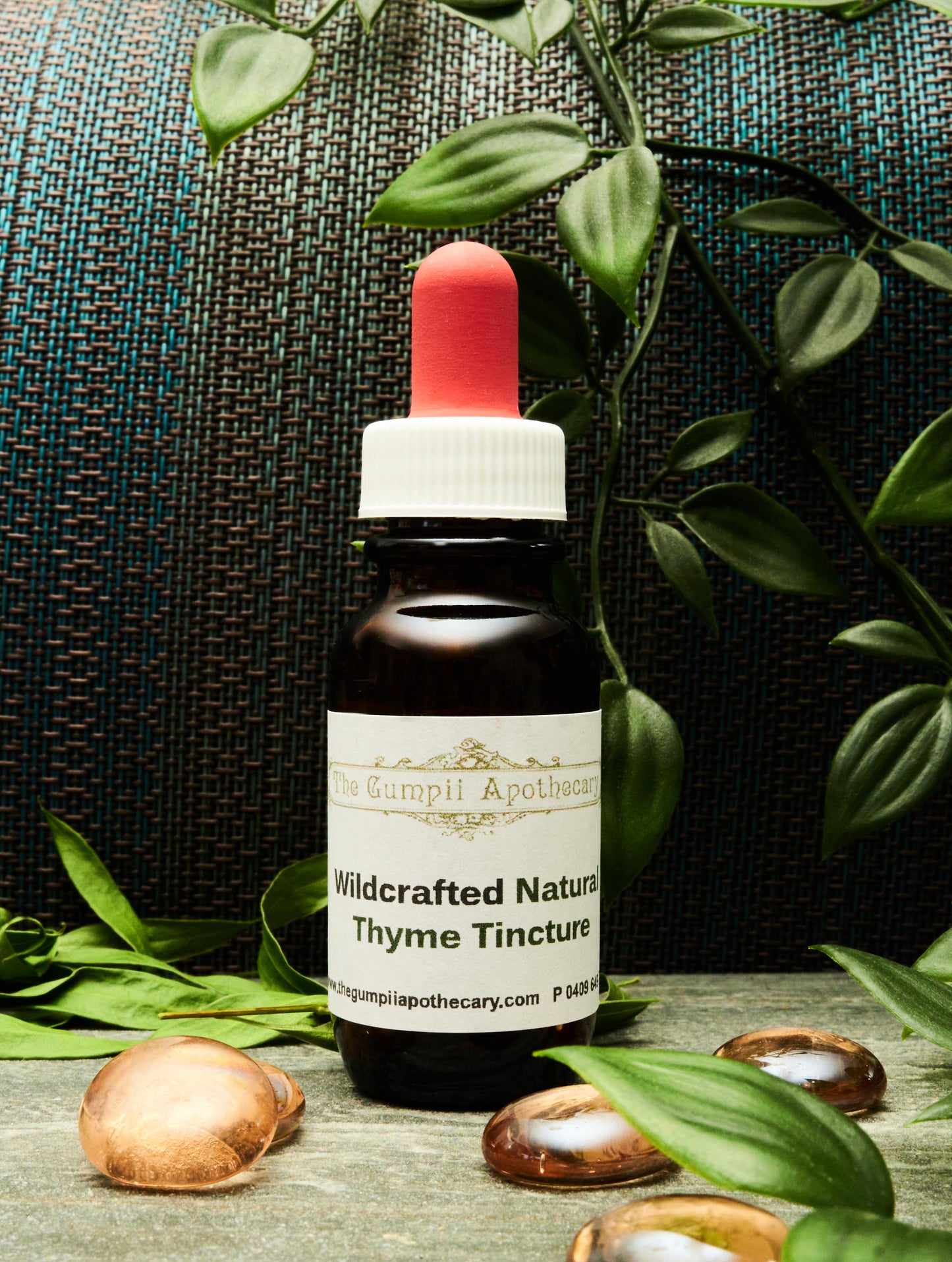 Wildcrafted Mediterranean Thyme Botanical Extract